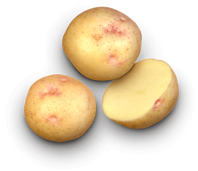 Alaska Bloom potato
