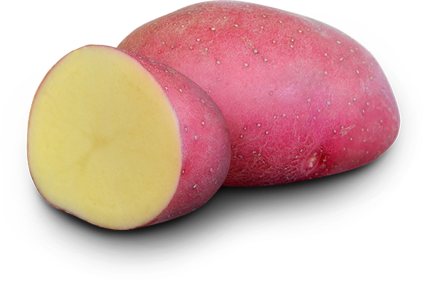 Labella EarthApples Labella EarthApples