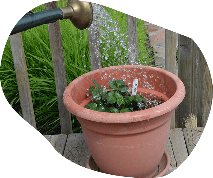 small-spaces-and-balconies