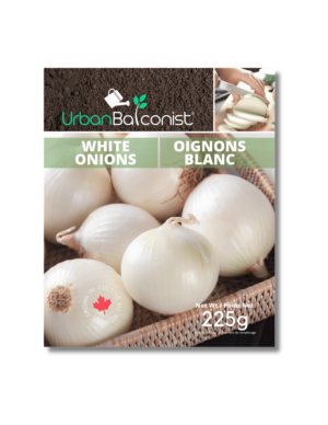 White Onions