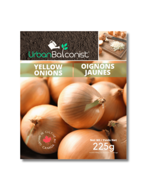 Yellow Onions